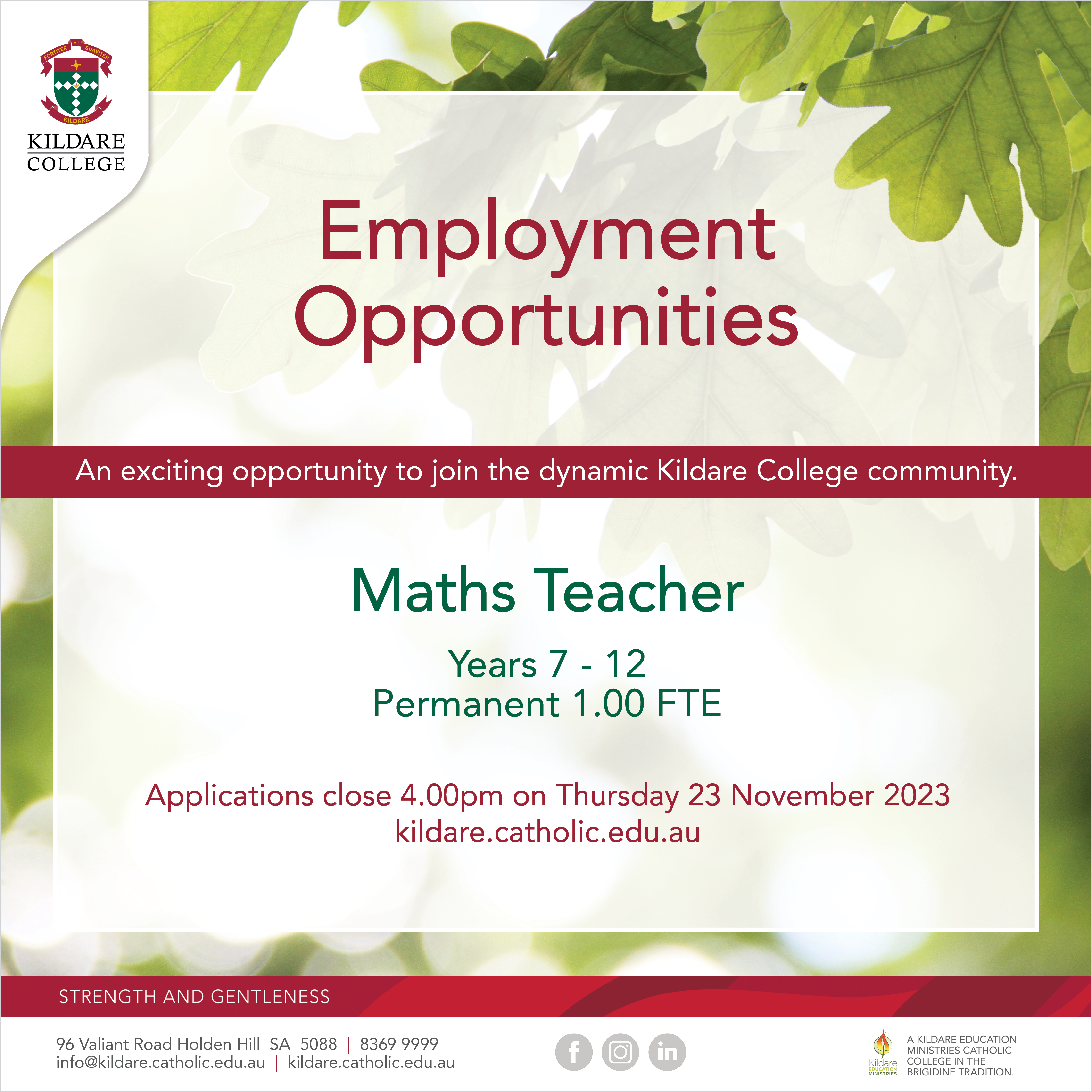 Maths Teacher