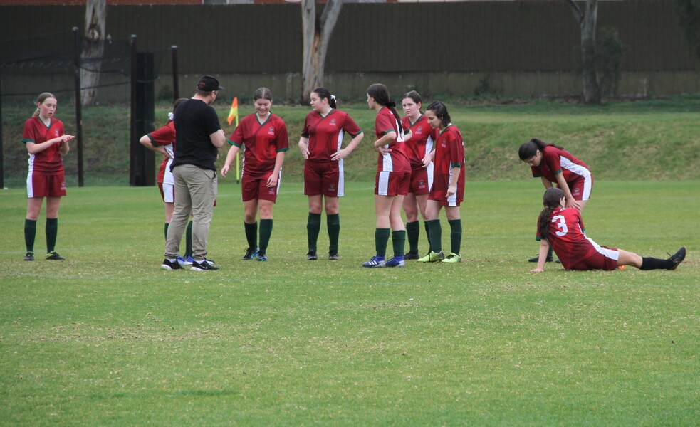 Senior Soccer