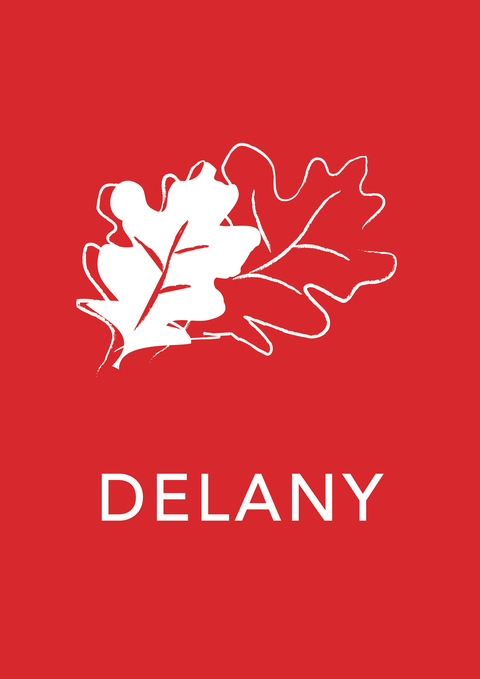 DELANY SYMBOL AND BACKGROUND-01_RGB.jpg